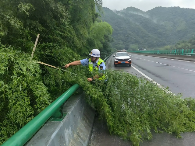 05 臺(tái)風(fēng)格美登陸在即，7月26日 六安西中心管控部巡路員柴夢(mèng)麒清理侵占路面的毛竹(1).png